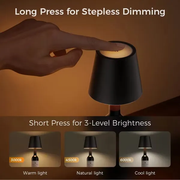 Portable_Rechargeable_Led_Bottle_Lamp_(Bottle_not_included)
