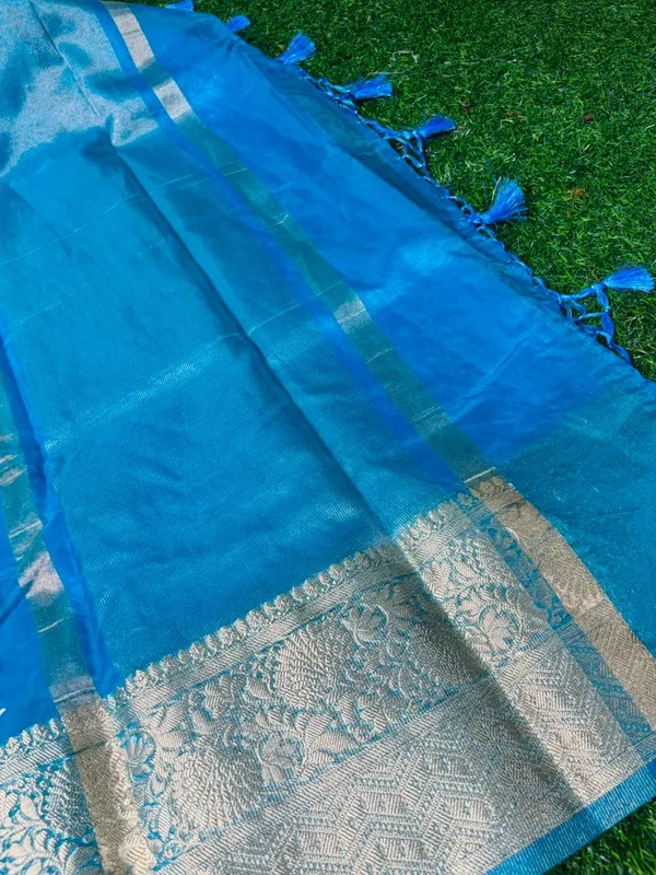 Sky_Blue_Organza_Silk_Chikan_Kari_Work_Banarasi_Saree