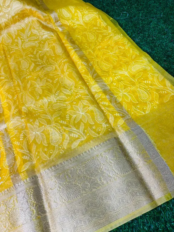 Organza_Silk_Chikan_Kari_Work_Banarasi_Saree