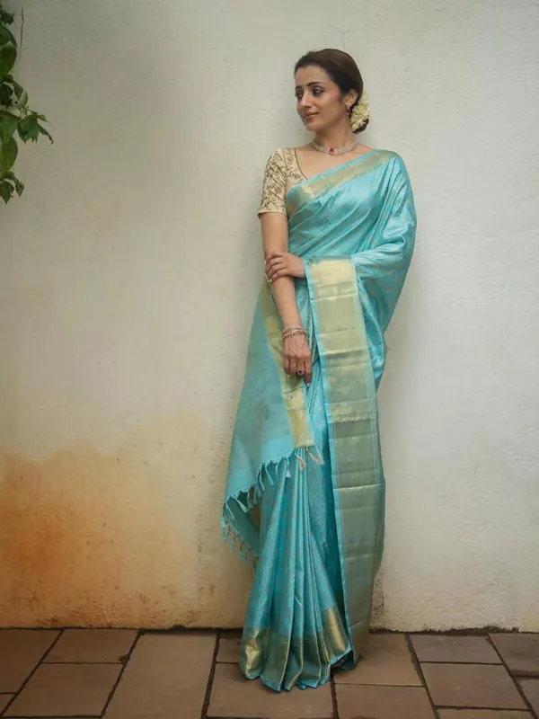 TRISHA_MAM_INSPIRED_BANARASI_SILK_SAREEE