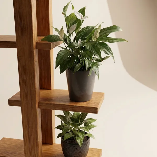 Wooden_Wall_Mounted_Plant_Stand_With_Multiple_Shelves