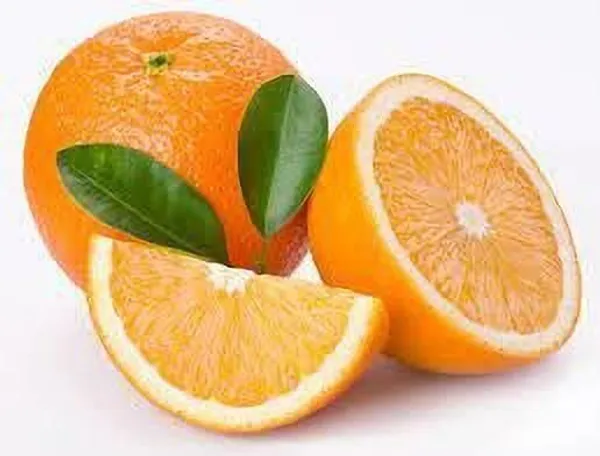 Orange_Plant_(Hybrid,_Pack_of_1)