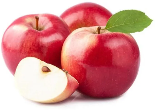Apple_Plant_(Hybrid,_Pack_of_1)