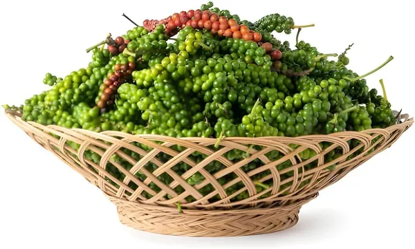 Black_Pepper_Plant_(Hybrid,_Pack_of_1)
