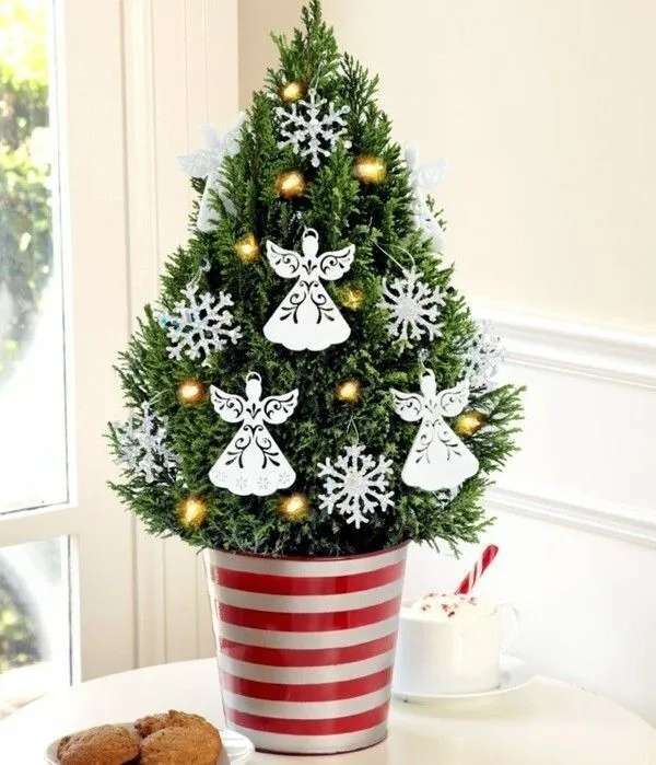 Christmas_Tree_Plant_(Hybrid,_Pack_of_1)