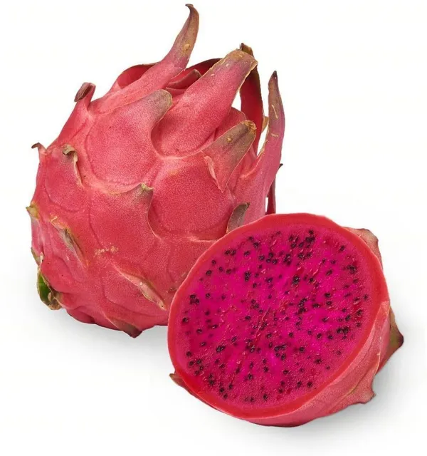 Dragon_Tree_(Hybrid,_Pack_of_1)