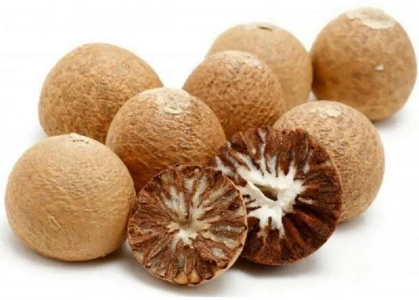 Betel_Nut/Supari_Plant_(Hybrid,_Pack_of_1)