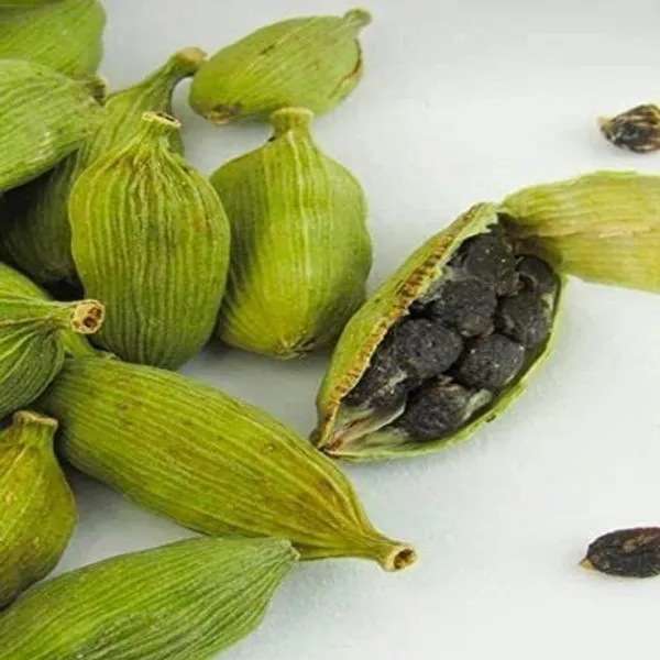Elaichi/Cardamom_Plant_(Hybrid,_Pack_of_1)