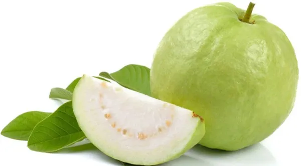 Guava_Plant_(Hybrid,_Pack_of_1)