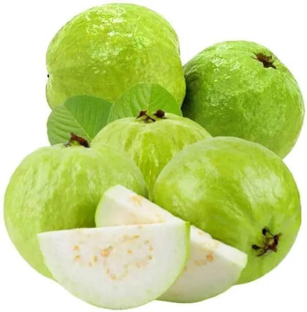 Guava_Plant_(Hybrid,_Pack_of_1)