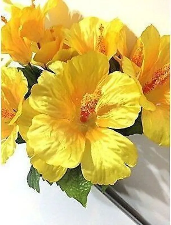 Hibiscus_Plant_(Hybrid,_Pack_of_1)