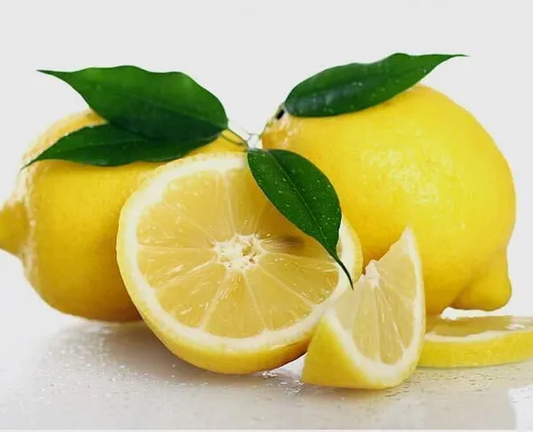Lemon_Plant_(Hybrid,_Pack_of_1)