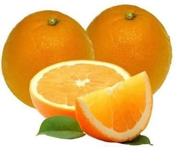 Sweet_Lemon_Plant_(Hybrid,_Pack_of_1)