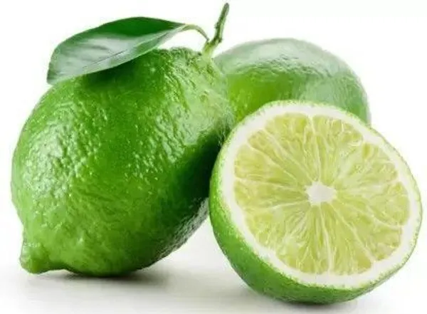 Lemon_Plant_(Hybrid,_Pack_of_1)