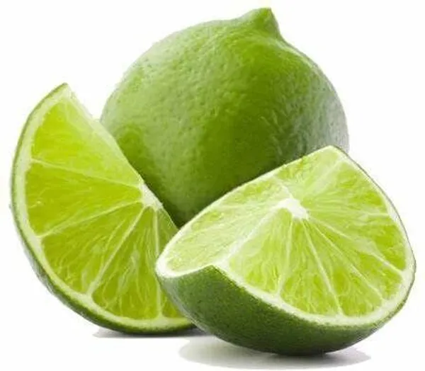 Lemon_Plant_(Hybrid,_Pack_of_1)