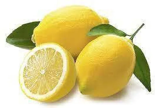 Lemon_Plant_(Hybrid,_Pack_of_1)