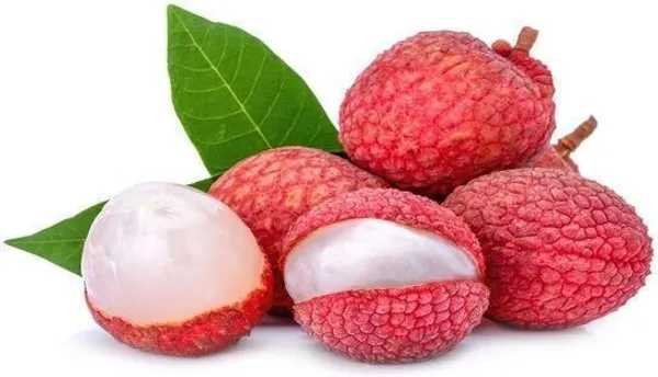 Litchi_Plant_(Hybrid,_Pack_of_1)