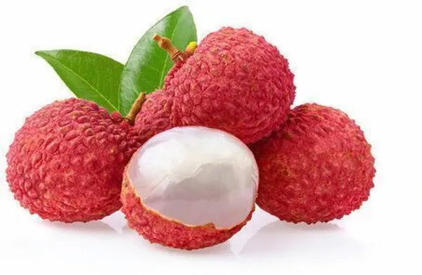 Litchi_Plant_(Hybrid,_Pack_of_1)