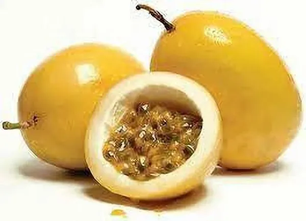 Passion_Plant_(Hybrid,_Pack_of_1)