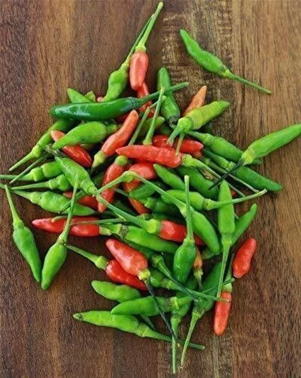 Mirch/Chilli_Plant_(Hybrid,_Pack_of_1)
