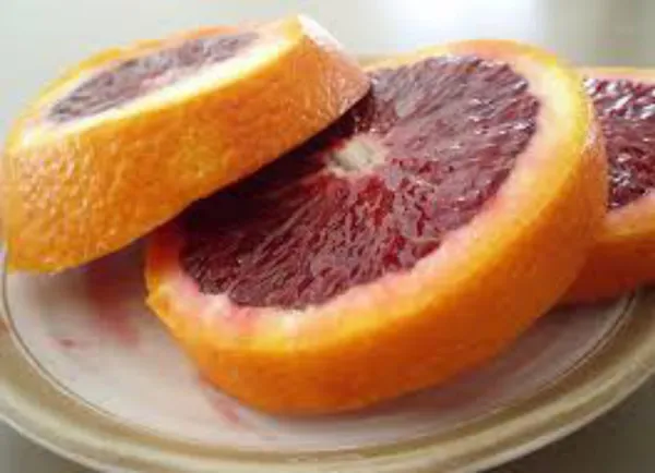 Orange_Plant_(Hybrid,_Pack_of_1)
