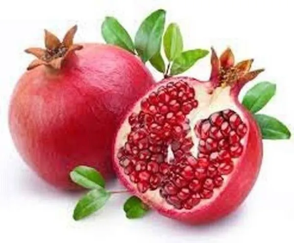 Pomegranate_Plant_(Hybrid,_Pack_of_1)