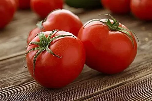 Tomato_Plant_(Hybrid,_Pack_of_1)