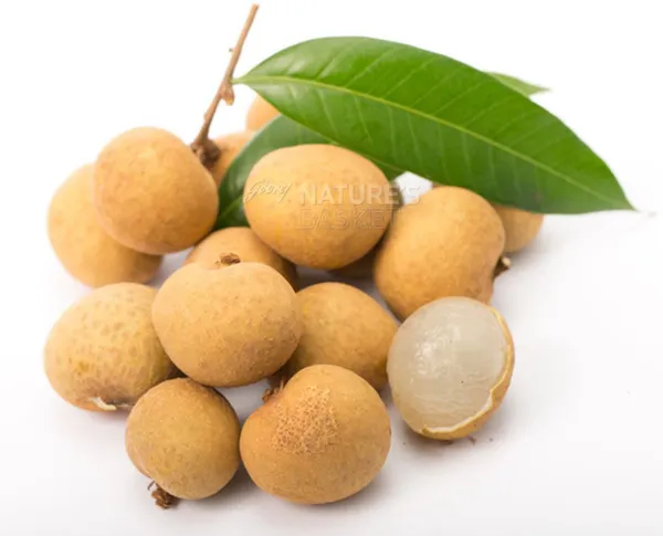 Litchi_Plant_(Hybrid,_Pack_of_1)