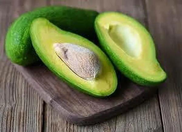 Avocado_Plant_(Hybrid,_Pack_of_1)