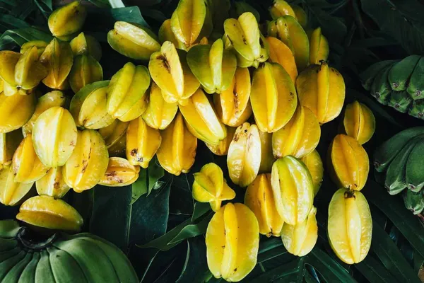 Star_Fruit_Carambola_Grafted_Plant_(Hybrid,_Pack_of_1)