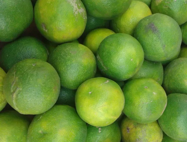 Lemon_Plant_(Hybrid,_Pack_of_1)