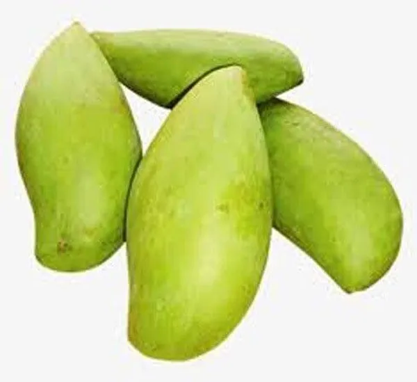 Mango_Plant_(Hybrid,_Pack_of_1)