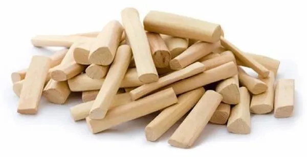 White_Sandalwood_Plant_(Hybrid,_Pack_of_1)
