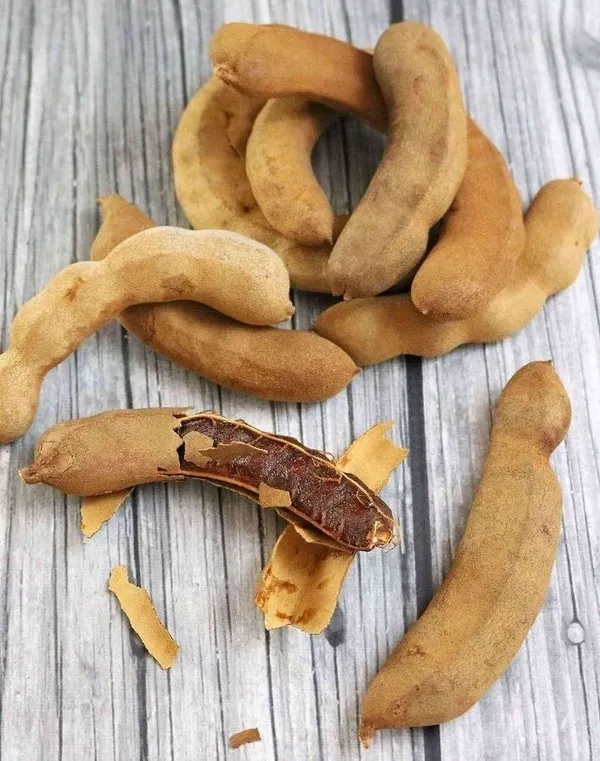 Tamarind_Plant_(Hybrid,_Pack_of_1)