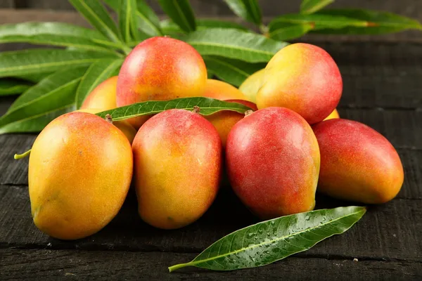 Mango_Plant_(Hybrid,_Pack_of_1)