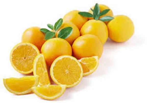 Sweet_Lemon_Plant_(Hybrid,_Pack_of_1)