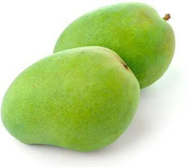 Mango_Plant_(Hybrid,_Pack_of_1)