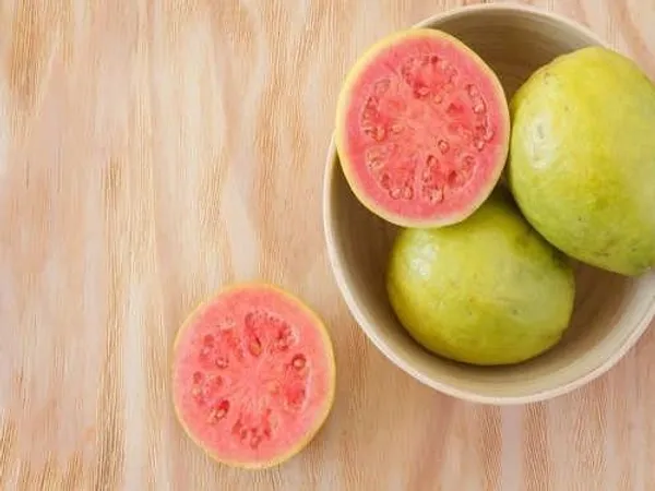 Guava_Plant_(Hybrid,_Pack_of_1)