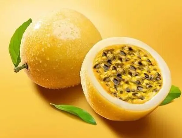 Passion_Plant_(Hybrid,_Pack_of_1)