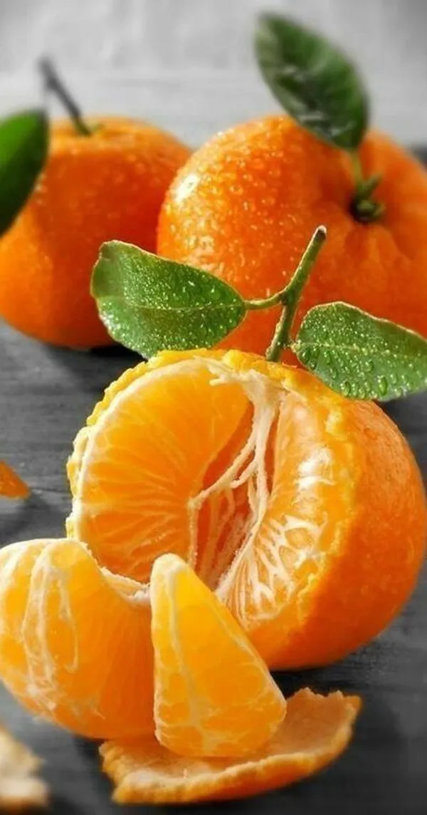 Orange_Plant_(Hybrid,_Pack_of_1)