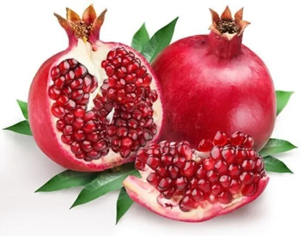 Pomegranate_Plant_(Hybrid,_Pack_of_1)