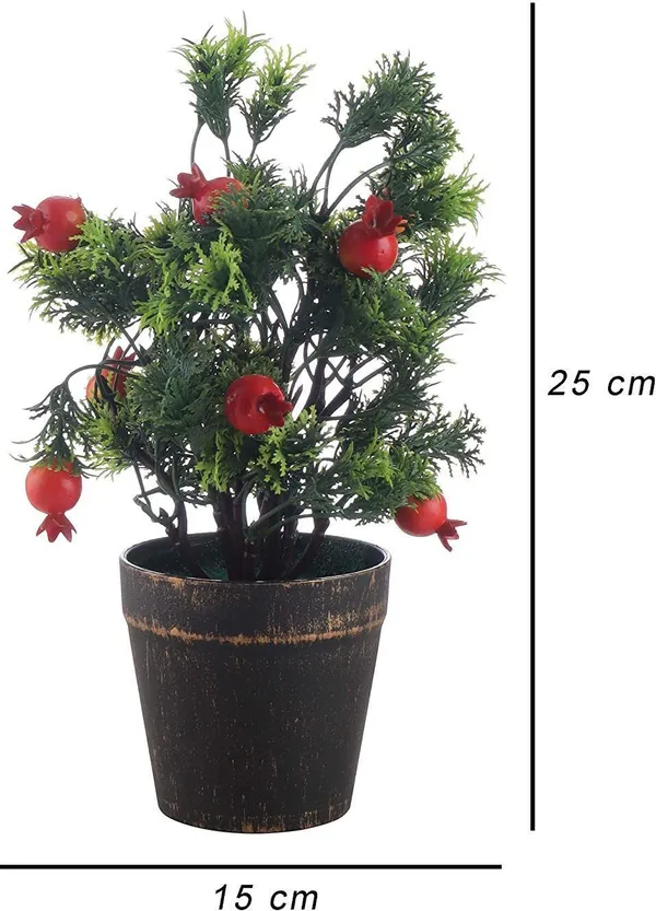 Pomegranate_Plant_(Hybrid,_Pack_of_1)