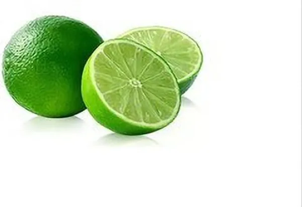 Lemon_Plant_(Hybrid,_Pack_of_1)