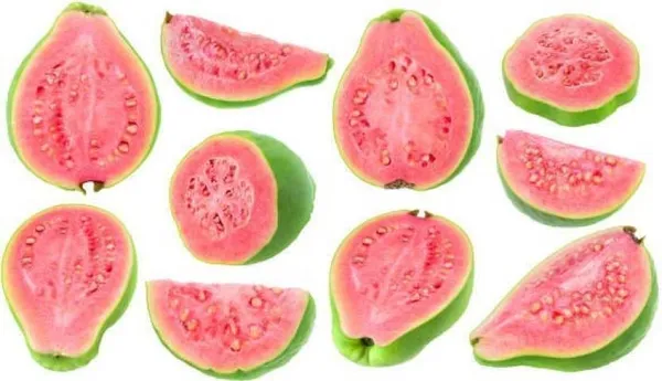 Guava_Plant_(Hybrid,_Pack_of_1)