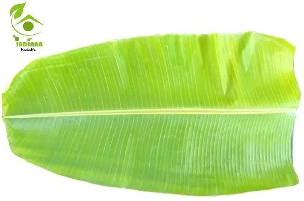 Banana_Plant_(Hybrid,_Pack_of_1)