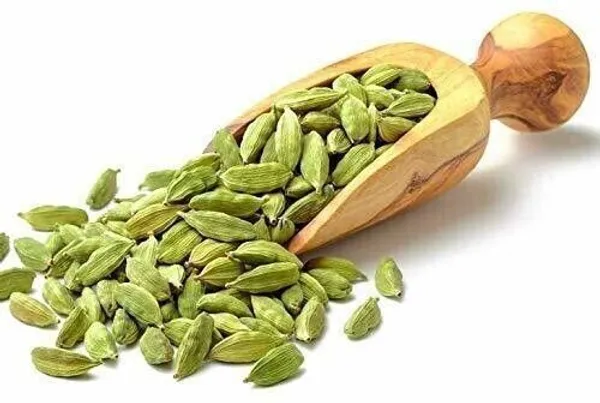 Elaichi/Cardamom_Plant_(Hybrid,_Pack_of_1)