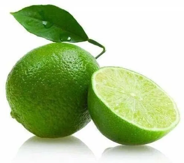 Lemon_Plant_(Hybrid,_Pack_of_1)