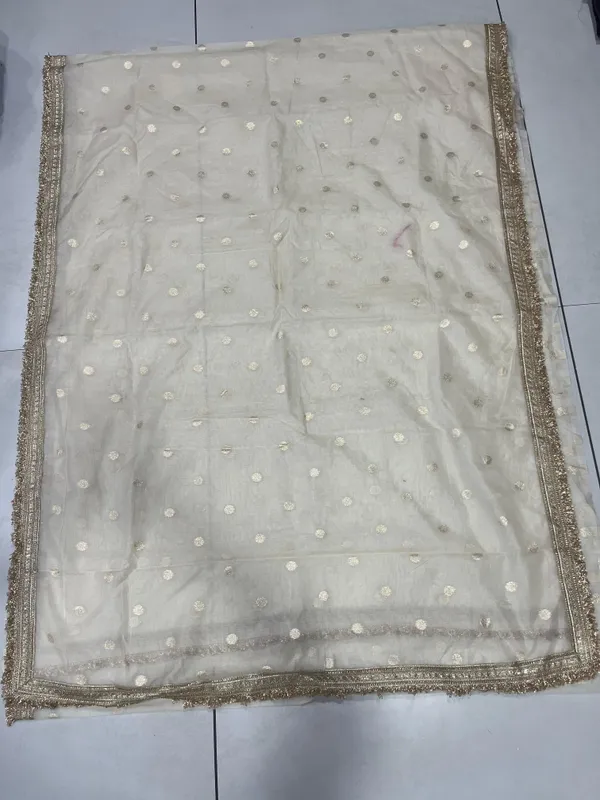 Elegant_Cream_Tissue_Silk_Saree_with_Gold_Embellished_Border