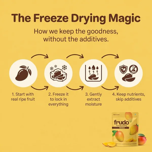 Frudo_Freeze_Dried_Mango_Chips_100_Real_Fruit_Snack_No_Added_Sugar_Crunchy_Bites_Vegan_Gluten_Free_10G__Mango_Pack_Of_10