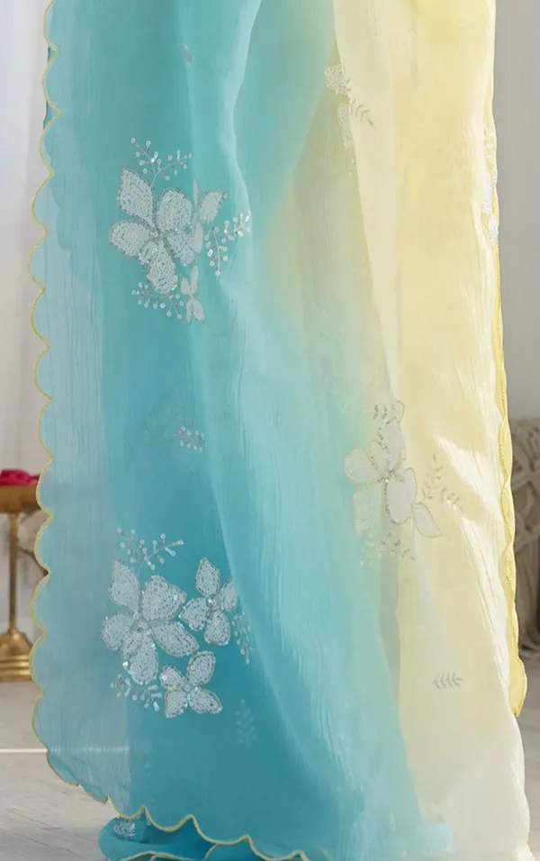 Stylish_Dual_Tone_Jimmy_Chhu_Saree_with_Scallop_Border